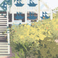 Seaside Pavilions Series